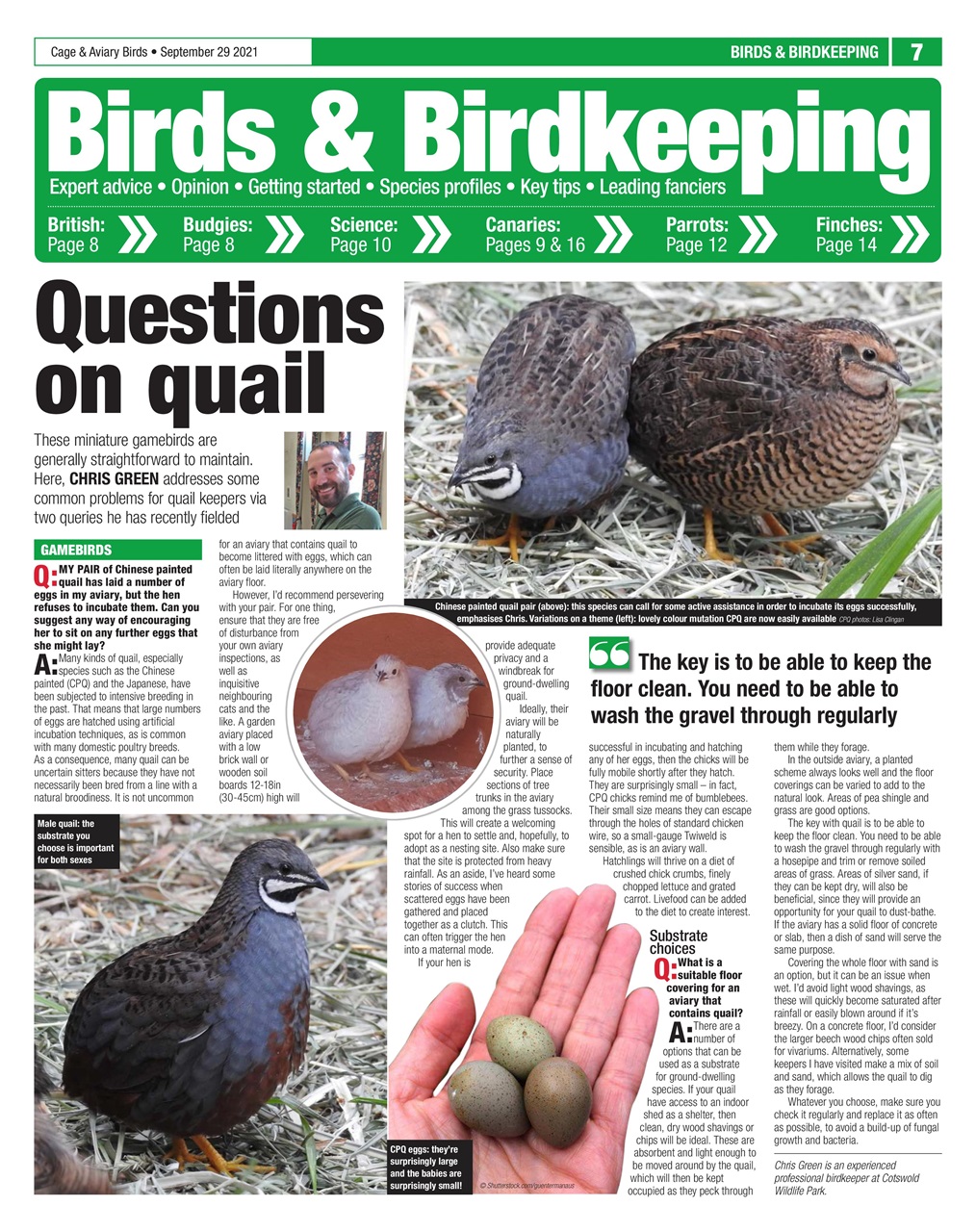 Cage & Aviary Birds Preview Pages