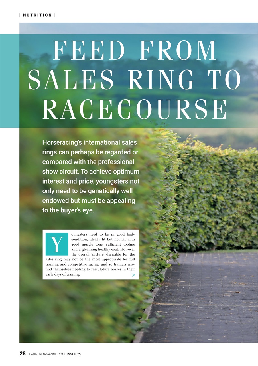 European Trainer Magazine - horse racing Preview Pages