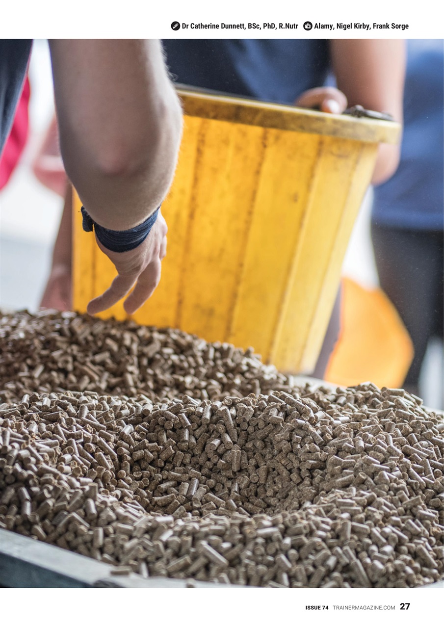 European Trainer Magazine - horse racing Preview Pages