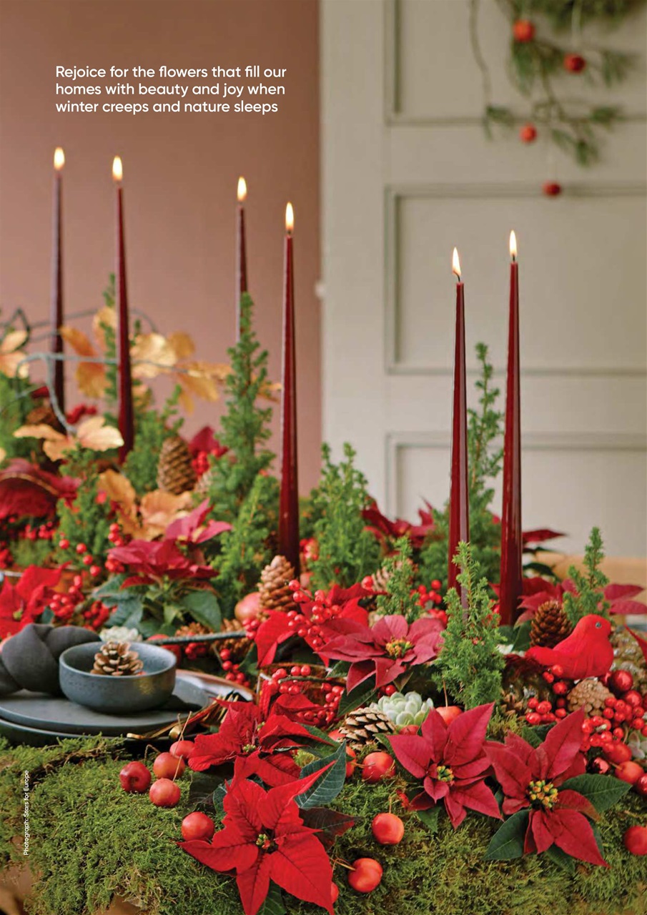 The Flower Arranger Preview Pages