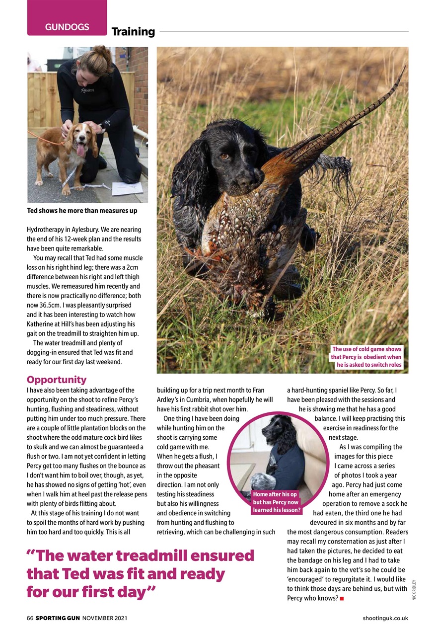 Sporting Gun Preview Pages