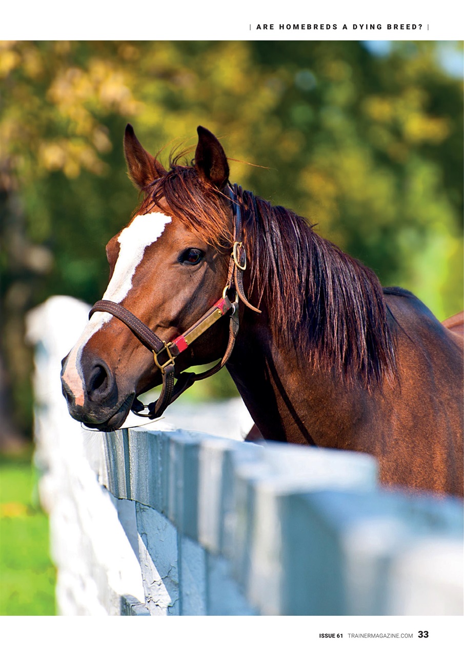 North American Trainer Magazine - horse racing Preview Pages