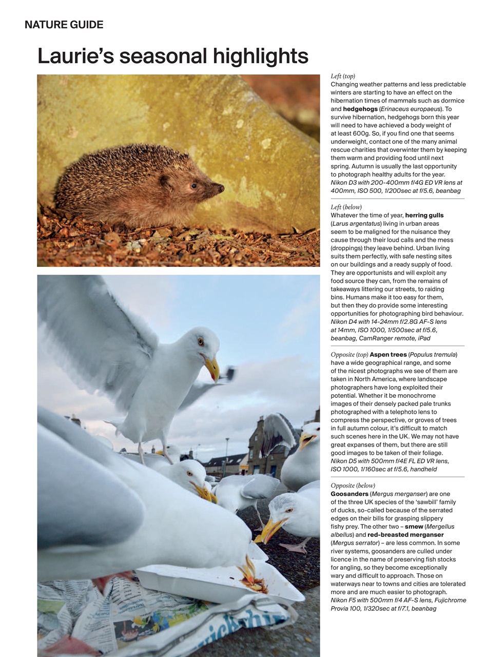 Outdoor Photography Preview Pages