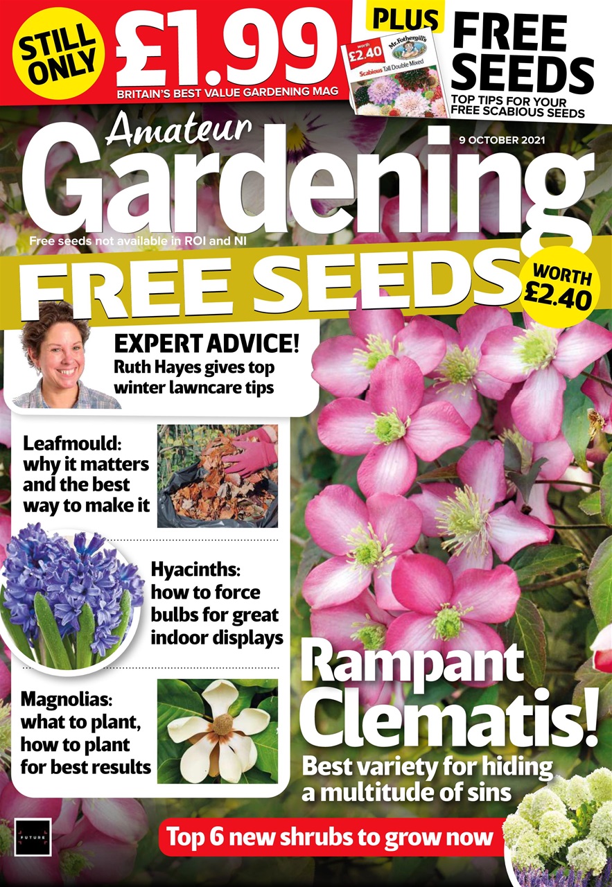 Amateur Gardening Preview Pages