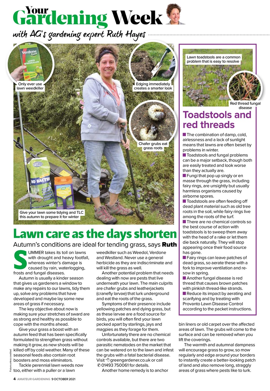 Amateur Gardening Preview Pages