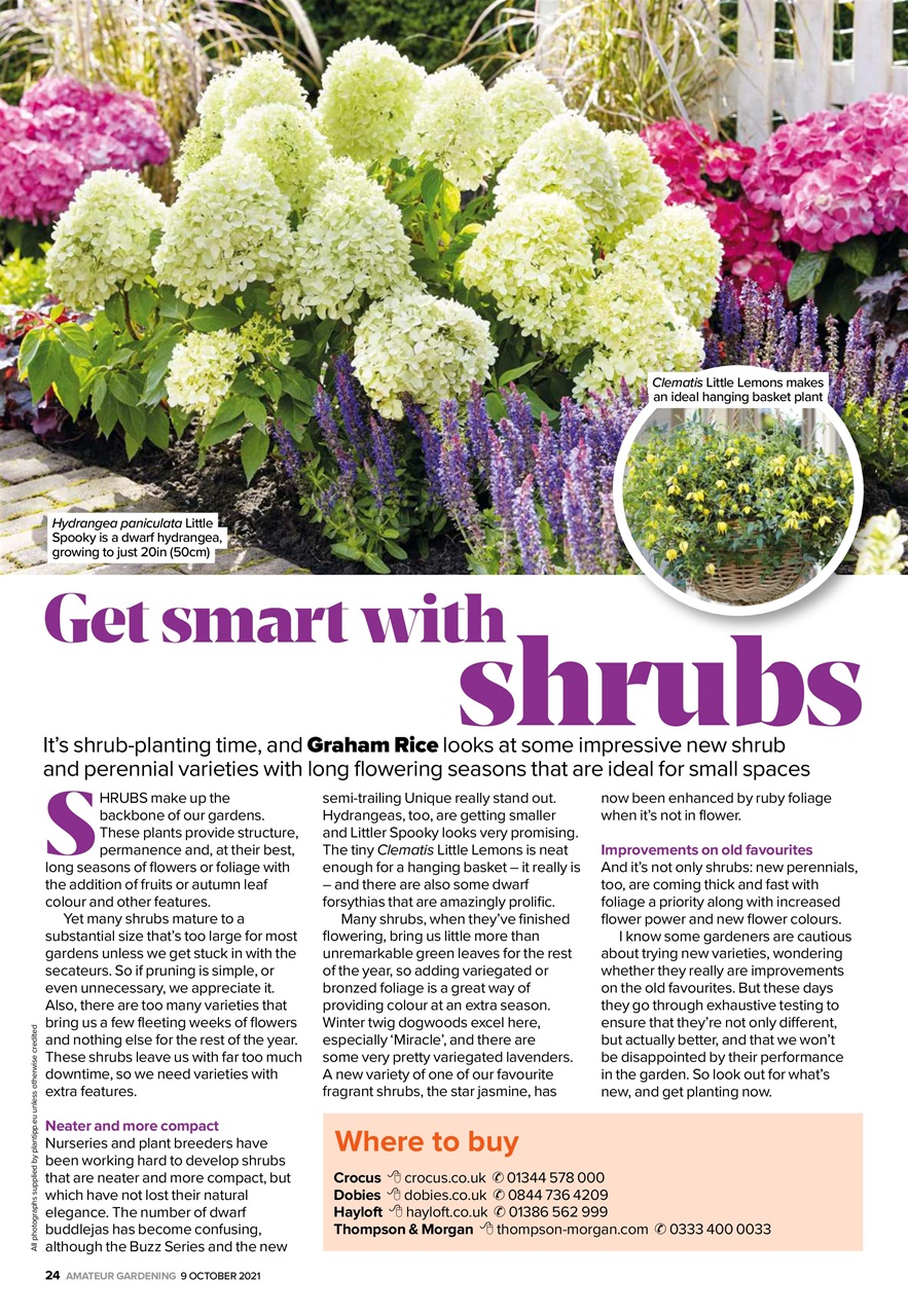Amateur Gardening Preview Pages