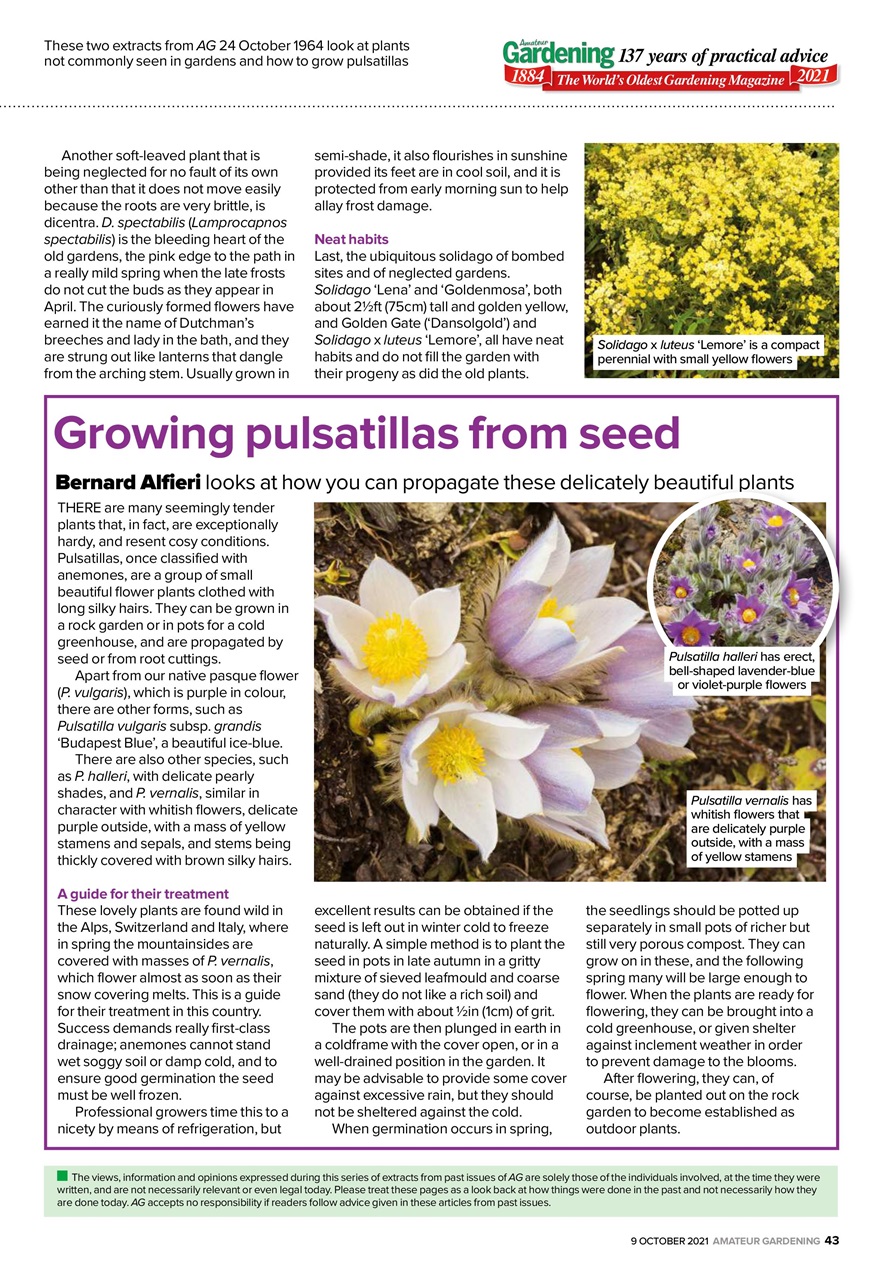 Amateur Gardening Preview Pages