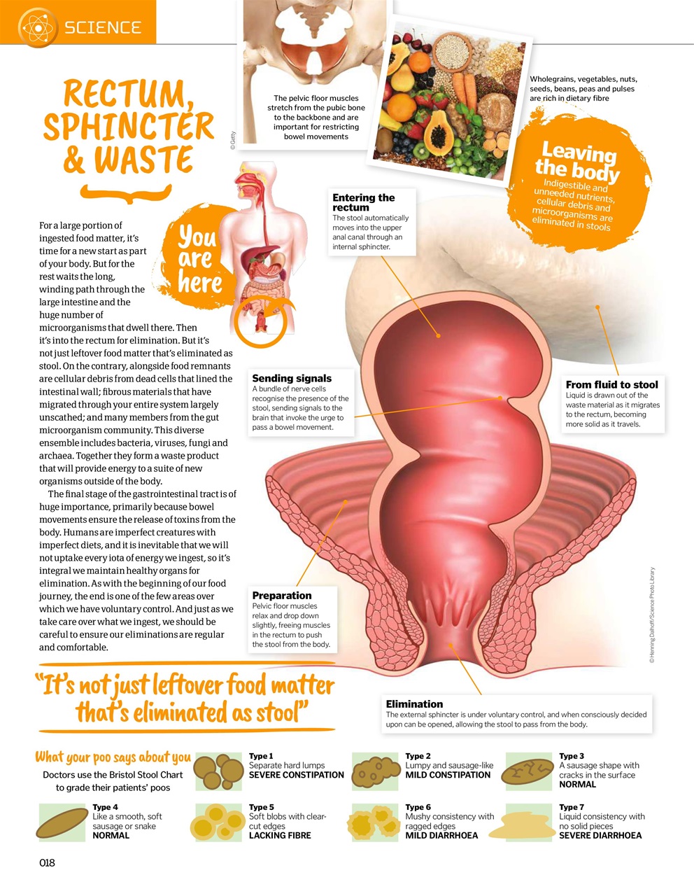 How It Works Bookazine Preview Pages