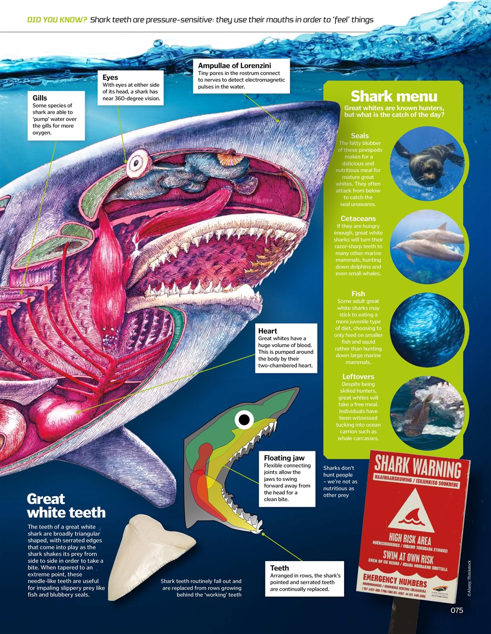 How It Works Bookazine Preview Pages