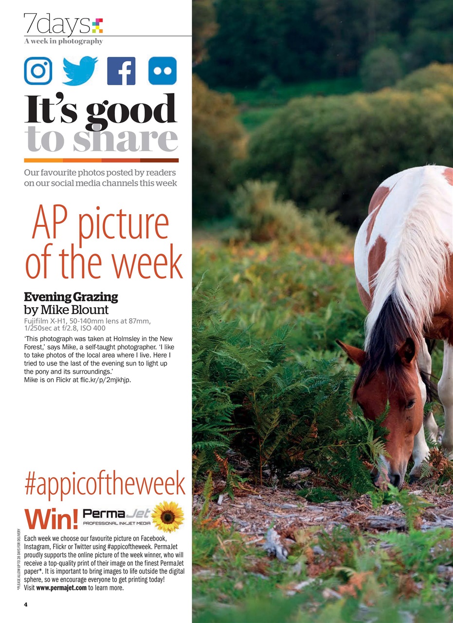 Amateur Photographer Preview Pages
