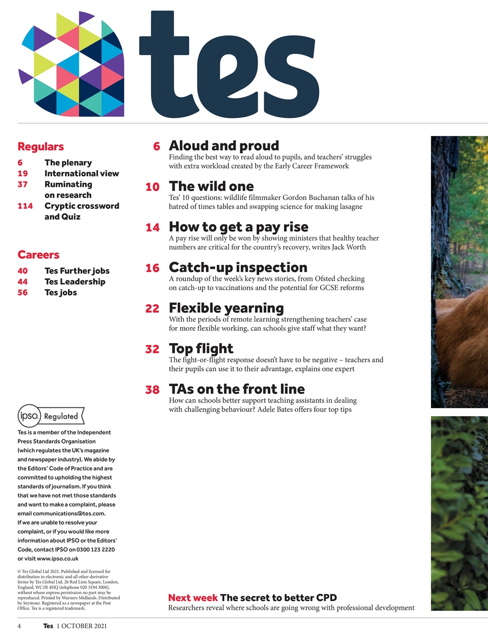 TES Preview Pages