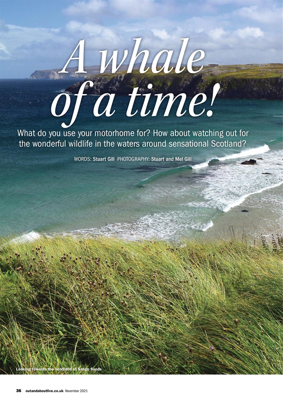 MMM magazine Preview Pages