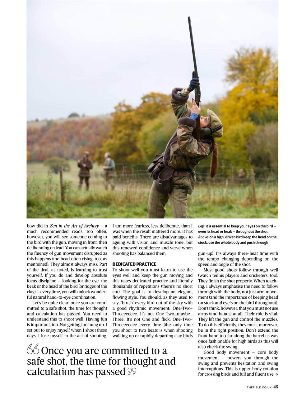 The Field Preview Pages