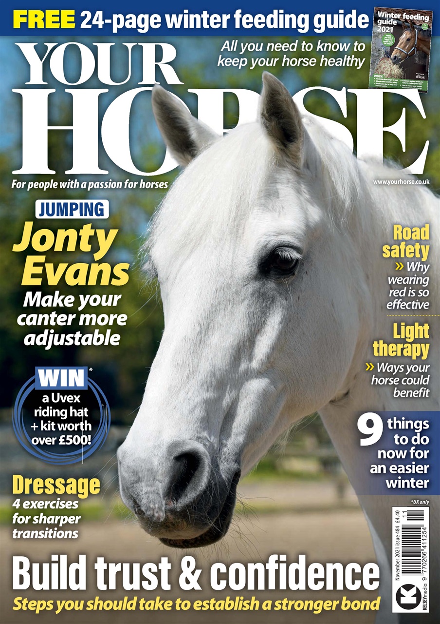Your Horse Preview Pages