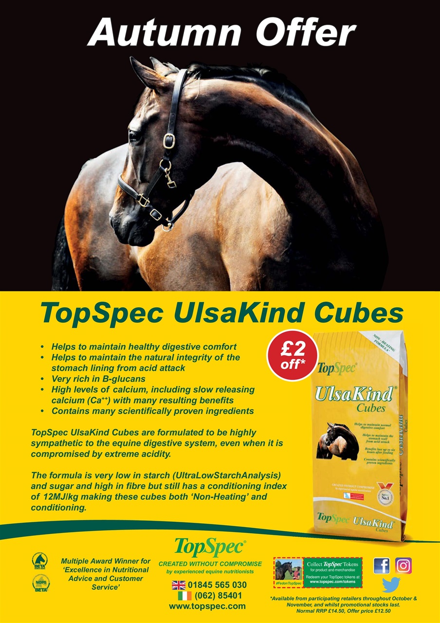 Your Horse Preview Pages