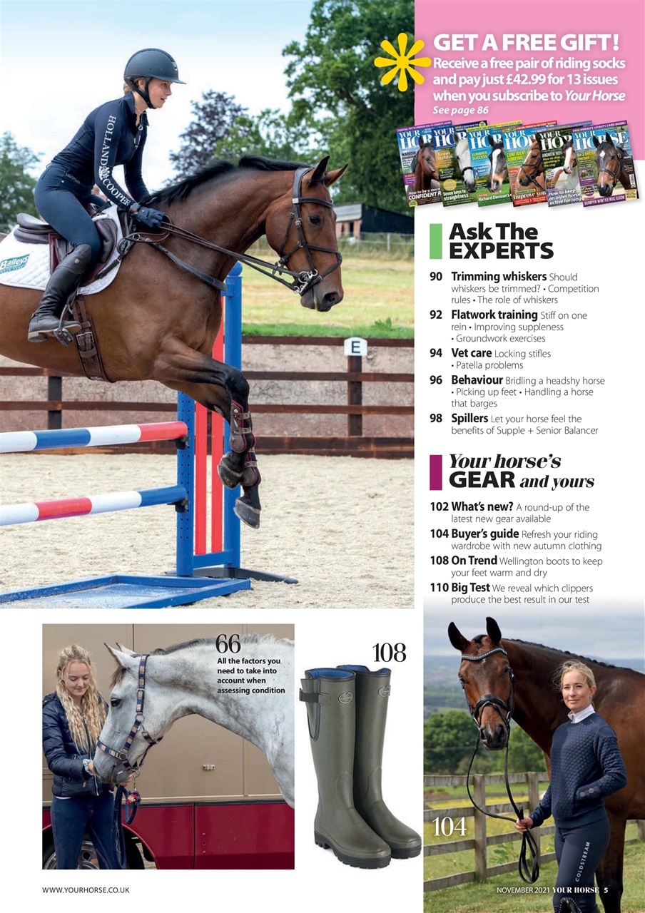 Your Horse Preview Pages