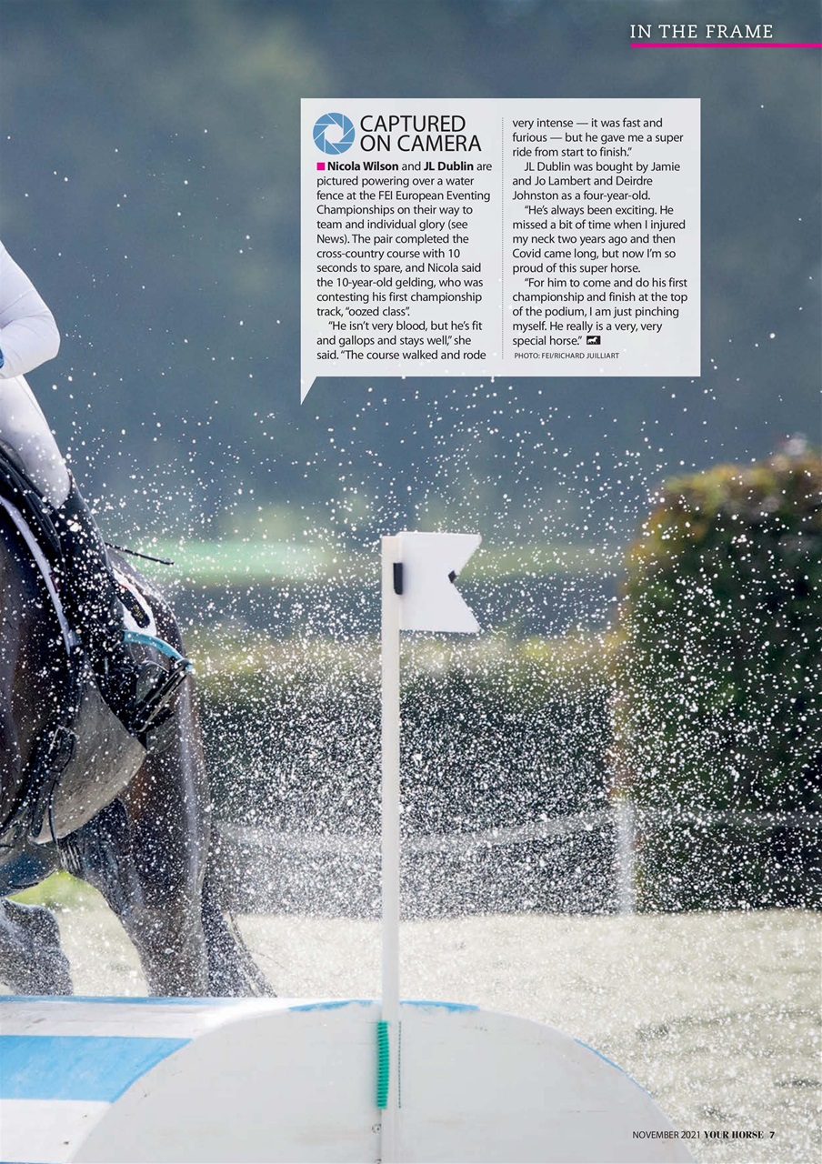 Your Horse Preview Pages