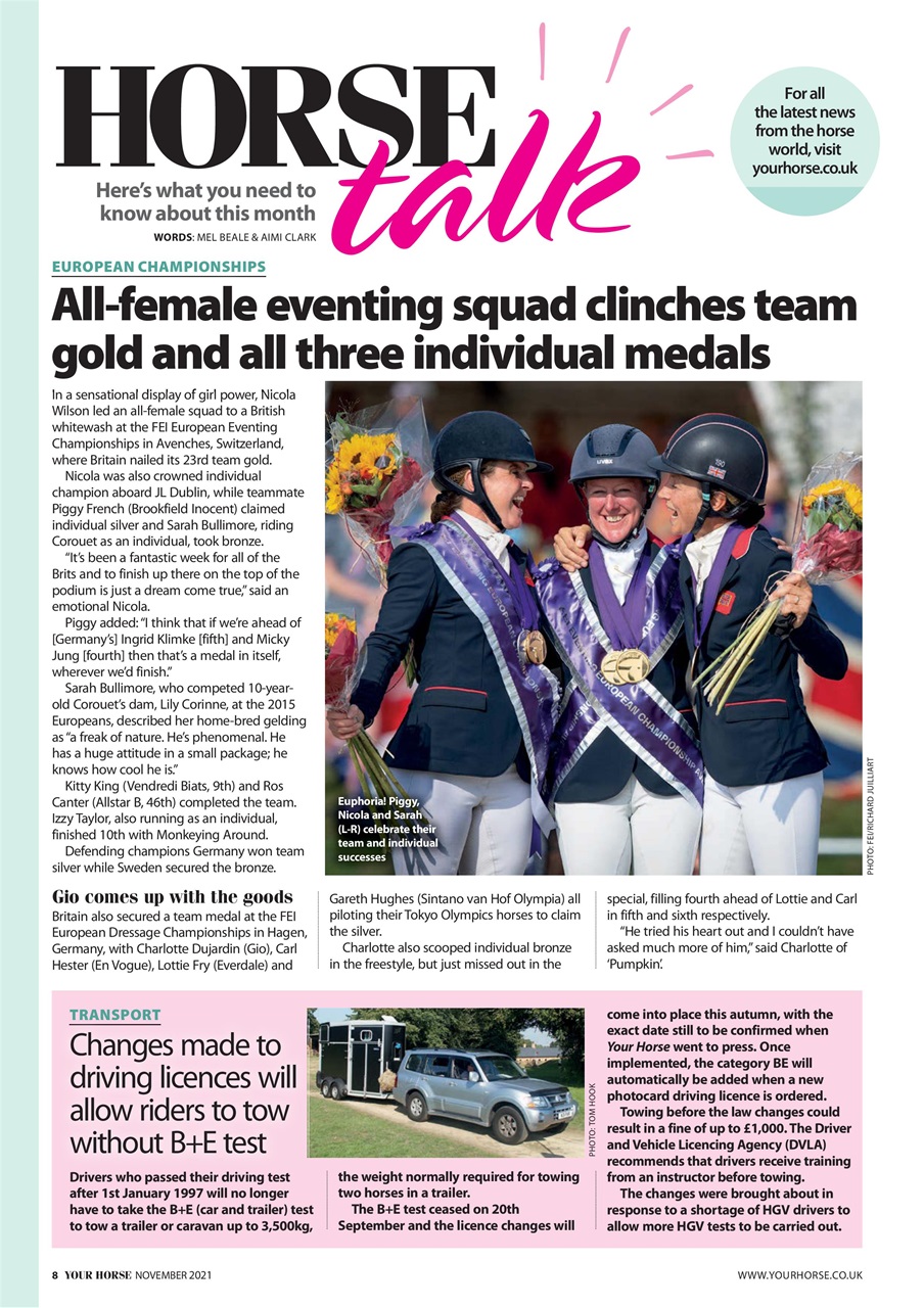 Your Horse Preview Pages