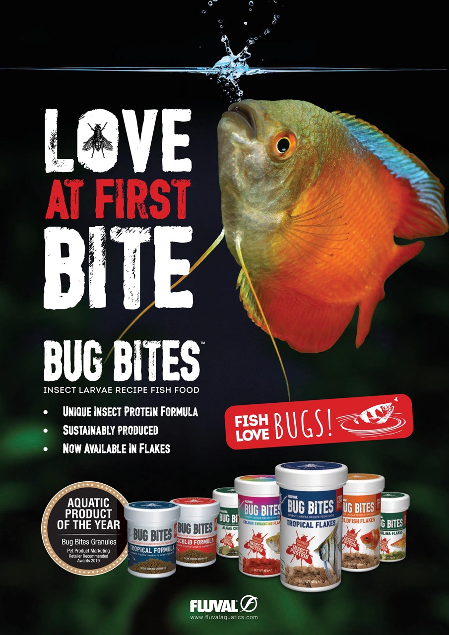 Practical Fishkeeping Preview Pages