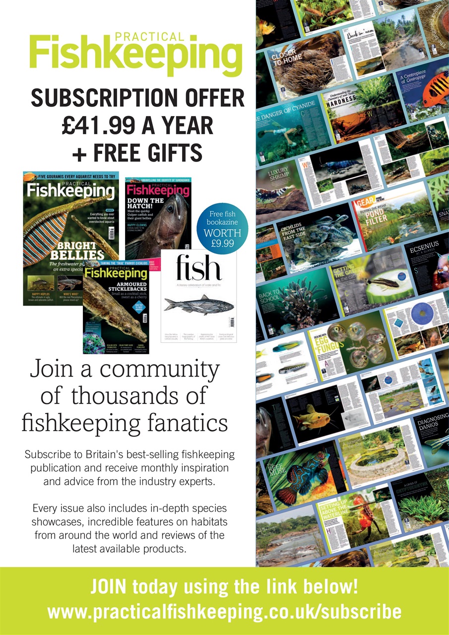 Practical Fishkeeping Preview Pages