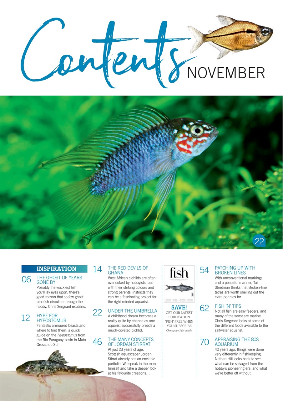 Practical Fishkeeping Preview Pages