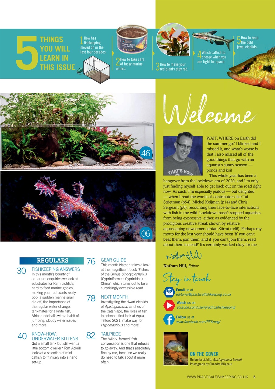 Practical Fishkeeping Preview Pages