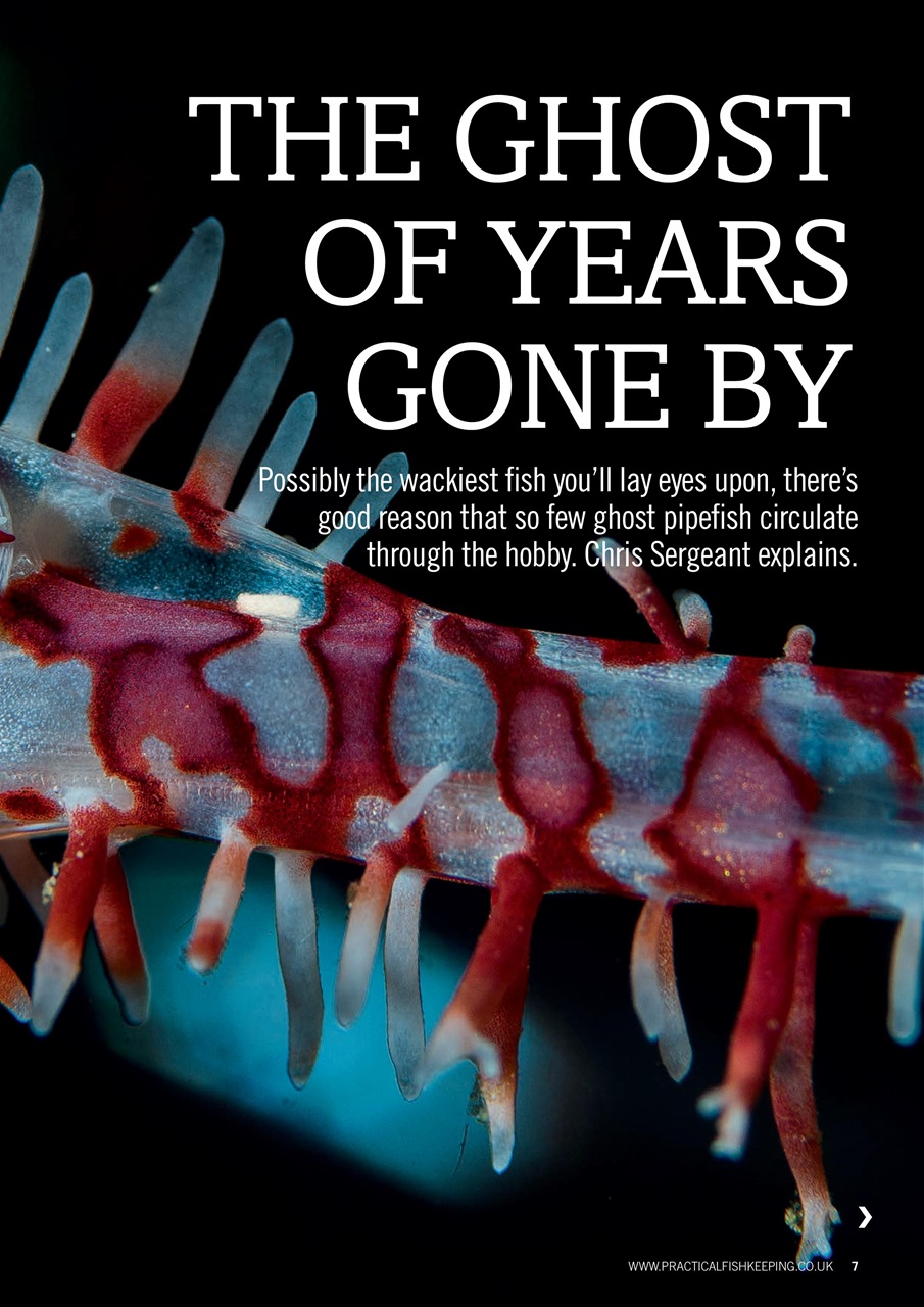 Practical Fishkeeping Preview Pages