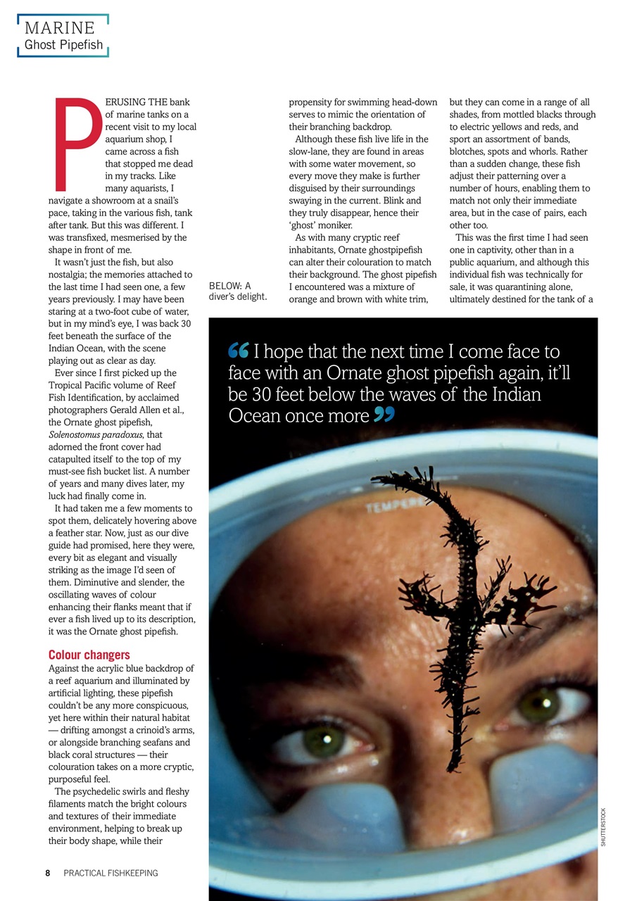 Practical Fishkeeping Preview Pages