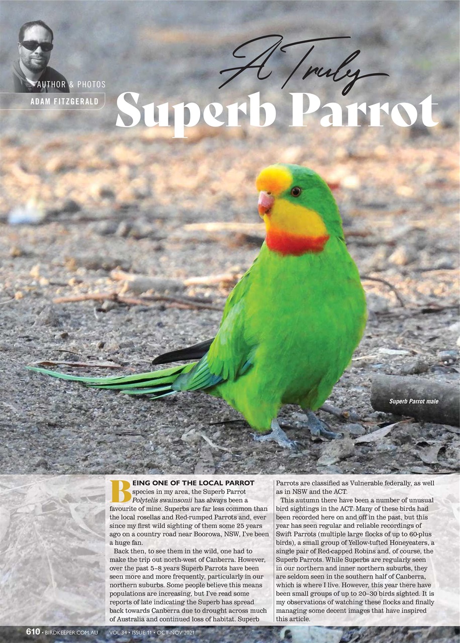 Australian Birdkeeper Magazine Preview Pages