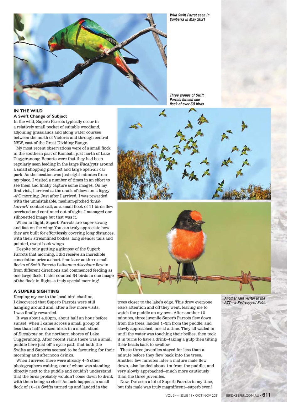Australian Birdkeeper Magazine Preview Pages