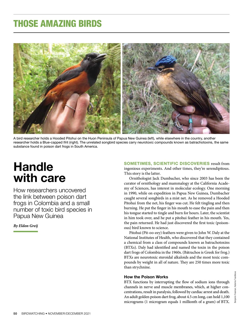 BirdWatching Preview Pages