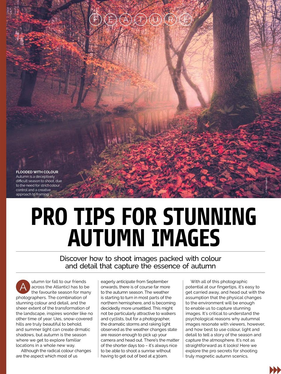 Photography Week Preview Pages