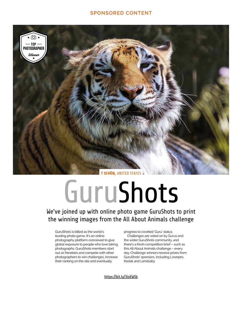 Photography Week Preview Pages