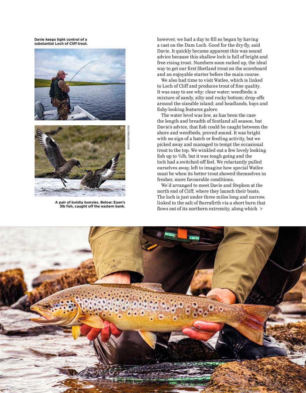 Trout & Salmon Preview Pages