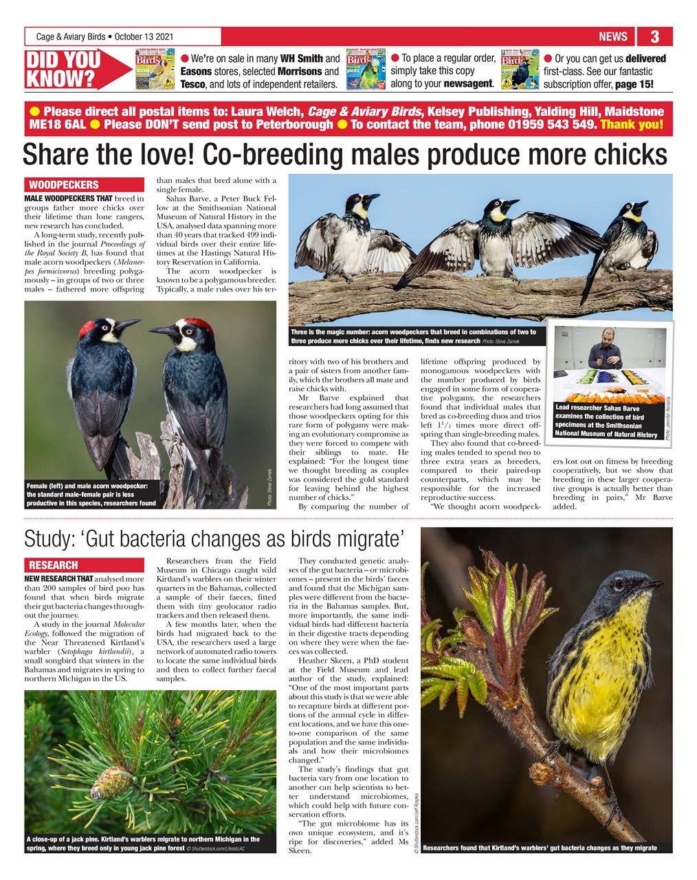 Cage & Aviary Birds Preview Pages