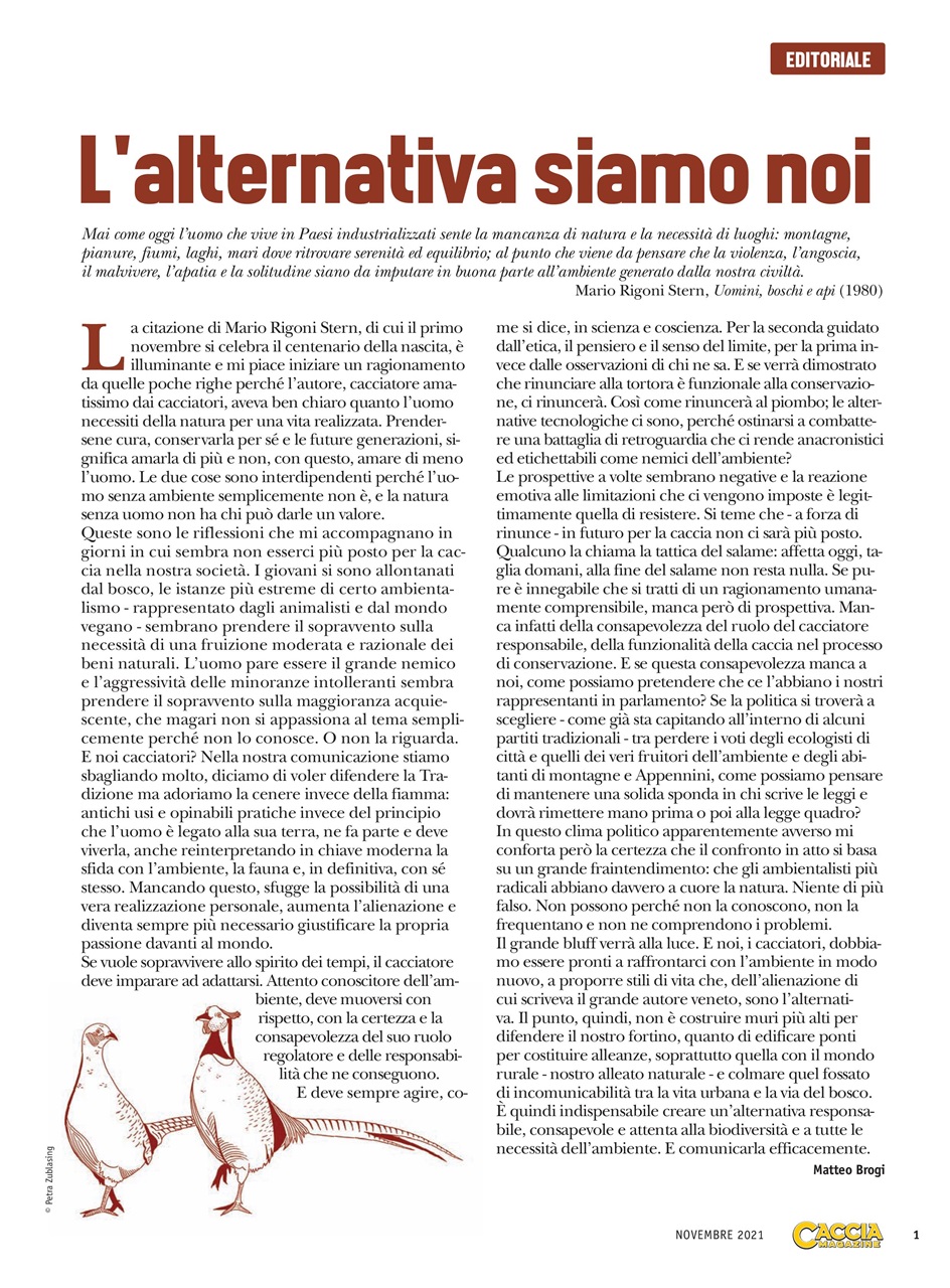 Caccia Magazine Preview Pages