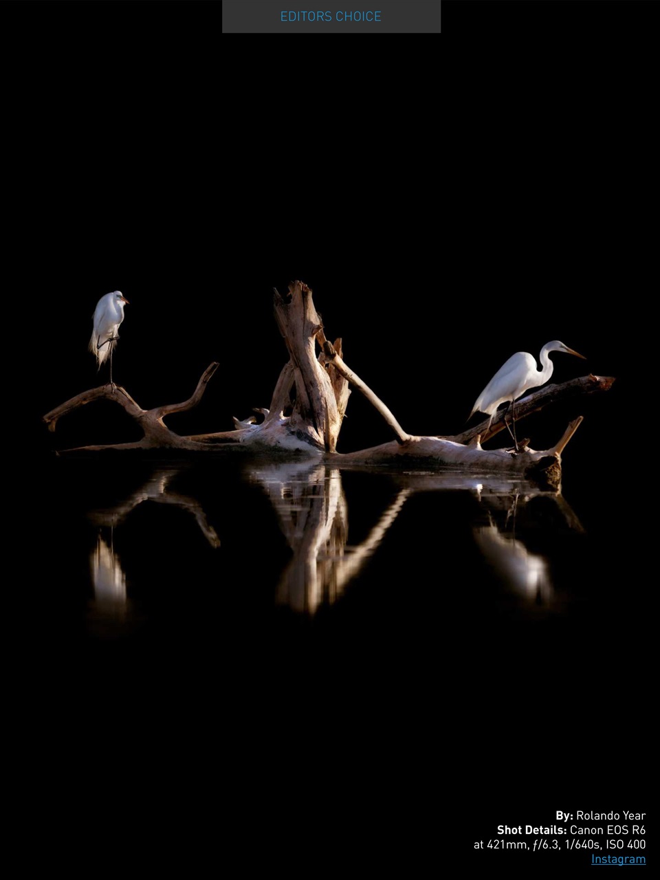 Photography Masterclass Magazine Preview Pages