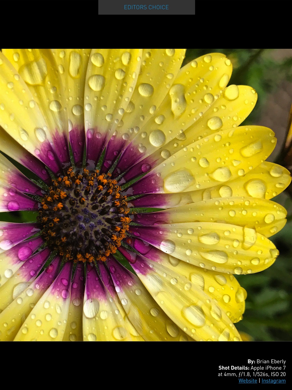 Photography Masterclass Magazine Preview Pages