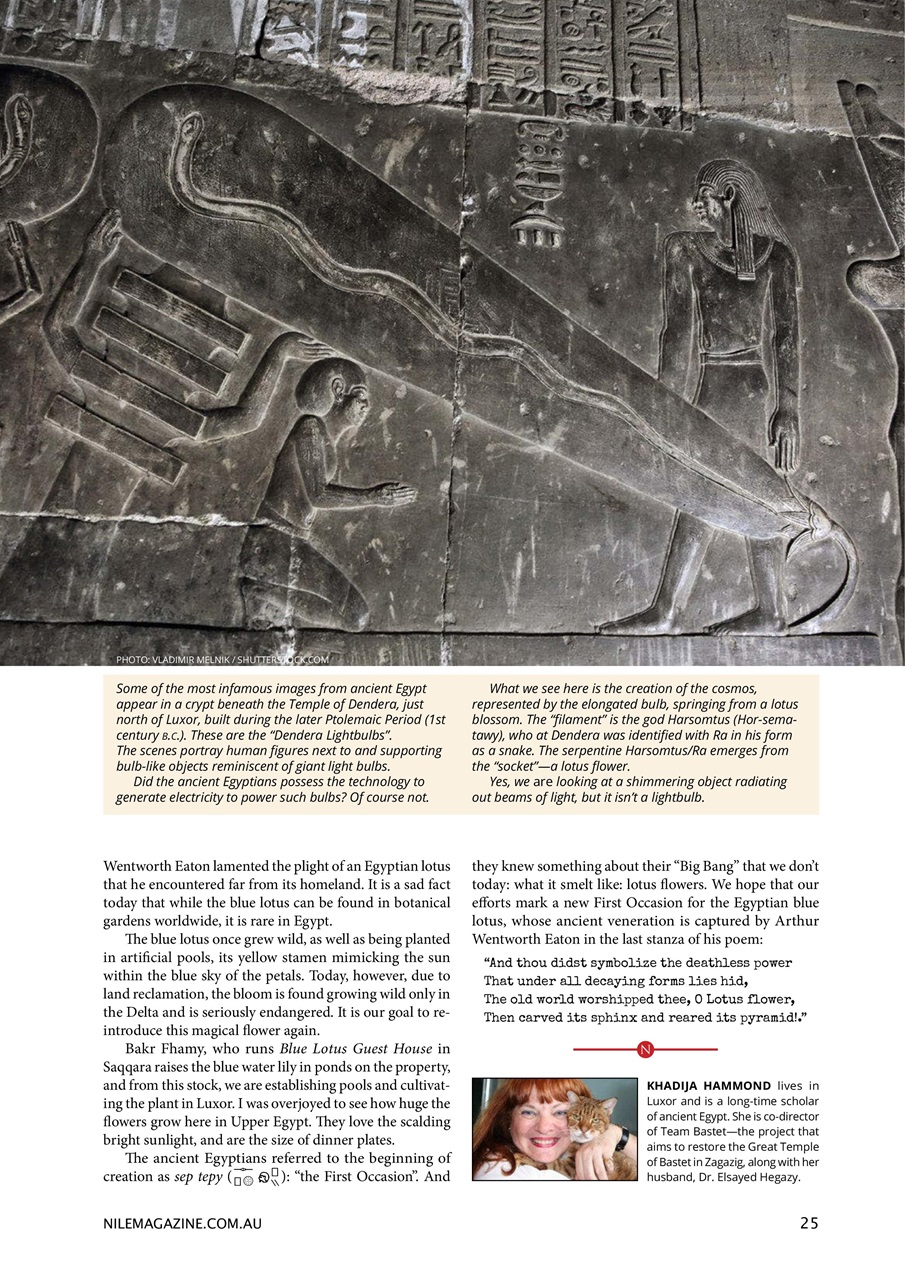 Nile Magazine Preview Pages