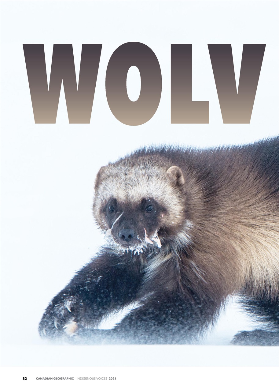 Canadian Geographic Preview Pages