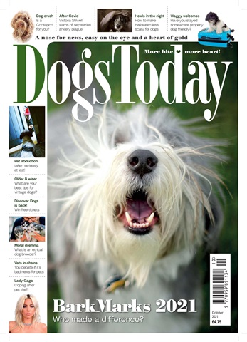 Dogs Today Magazine issue October 2021