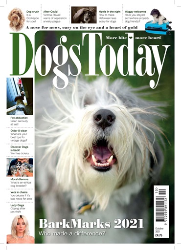 Dogs Today Magazine issue 