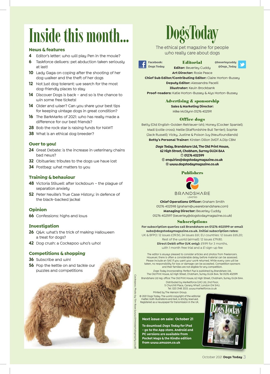 Dogs Today Magazine Preview Pages