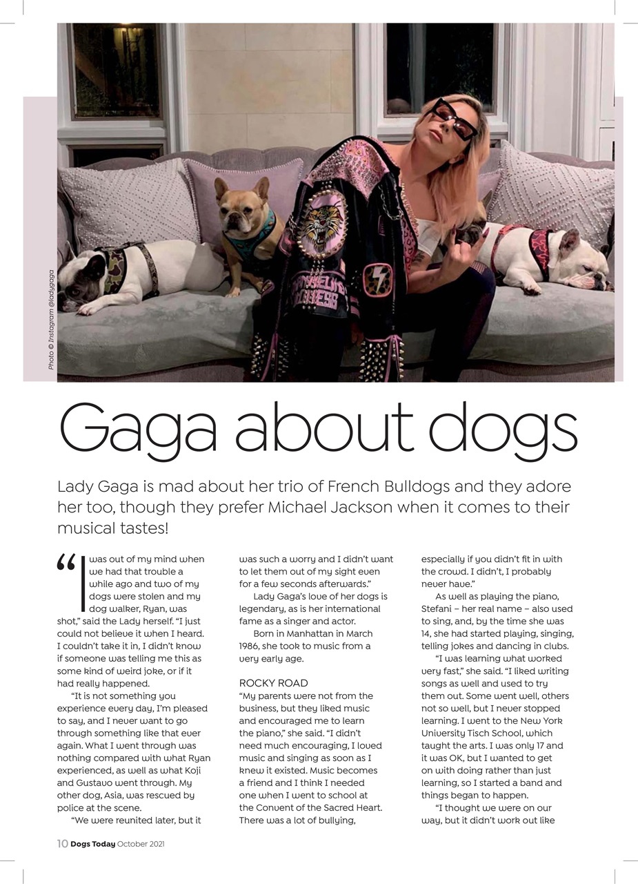 Dogs Today Magazine Preview Pages