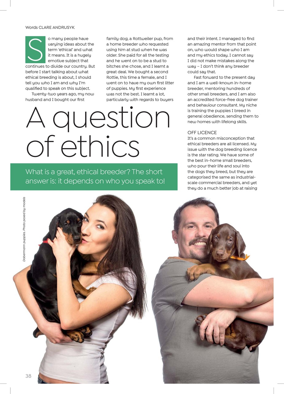 Dogs Today Magazine Preview Pages