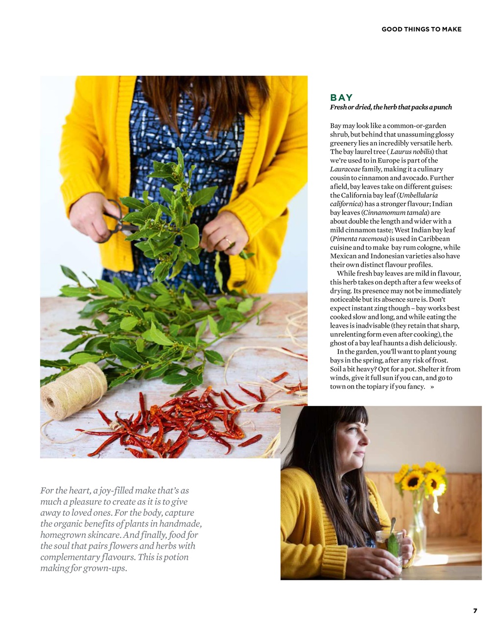 The Simple Things Preview Pages