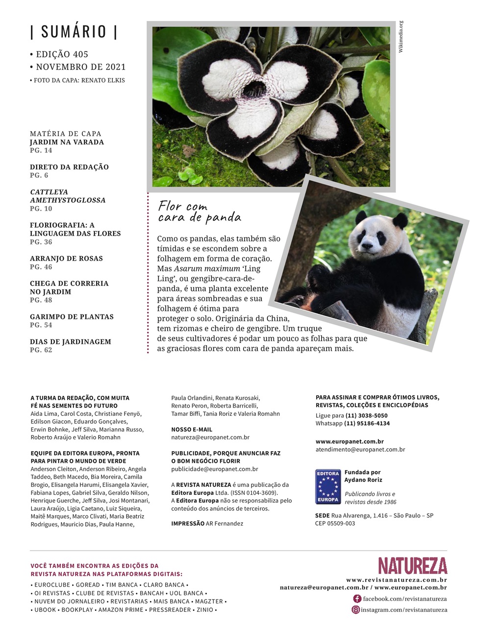 Natureza Preview Pages