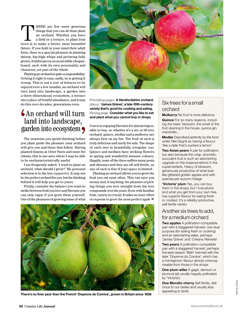 Field Sports Bookazine Preview Pages