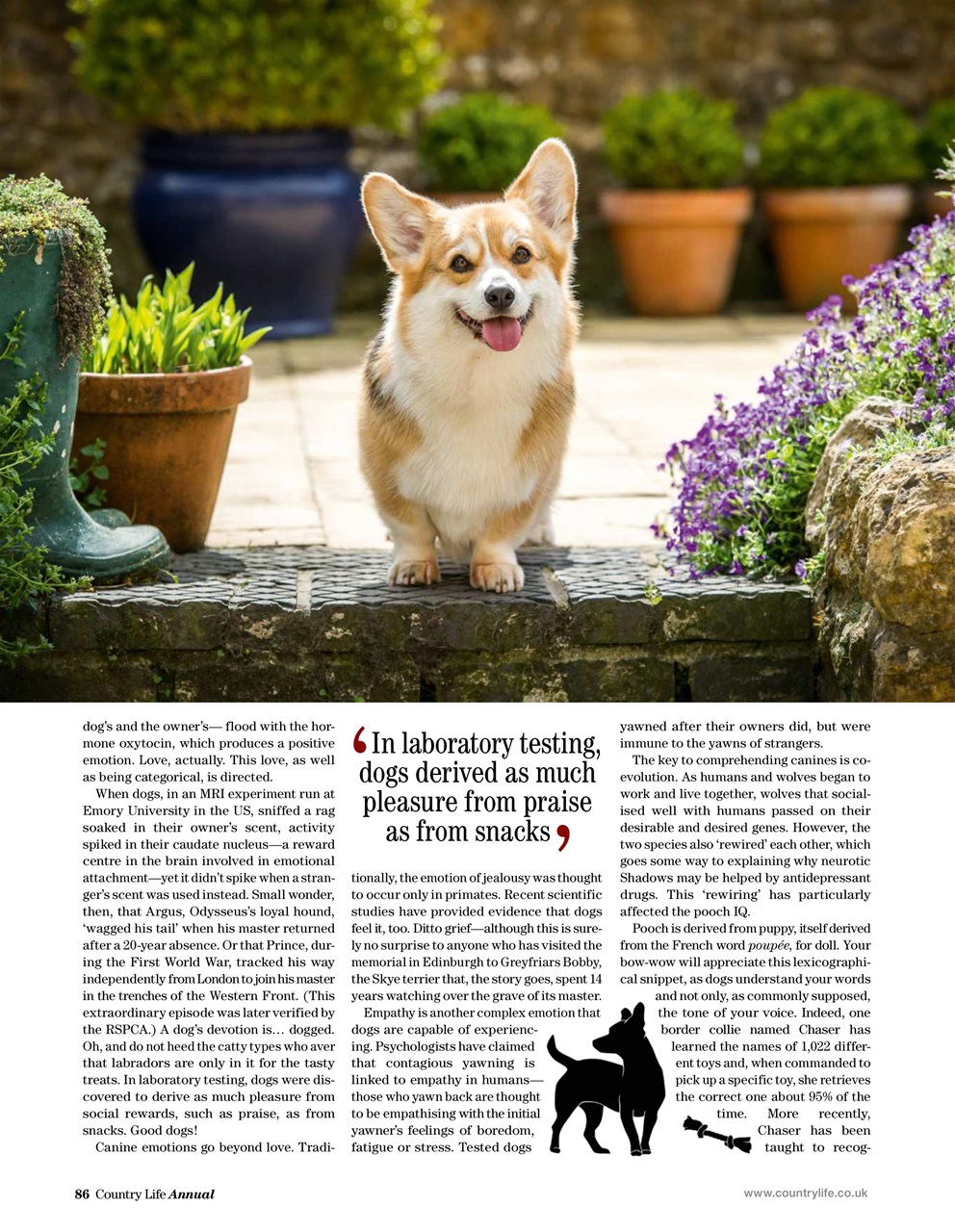 Field Sports Bookazine Preview Pages