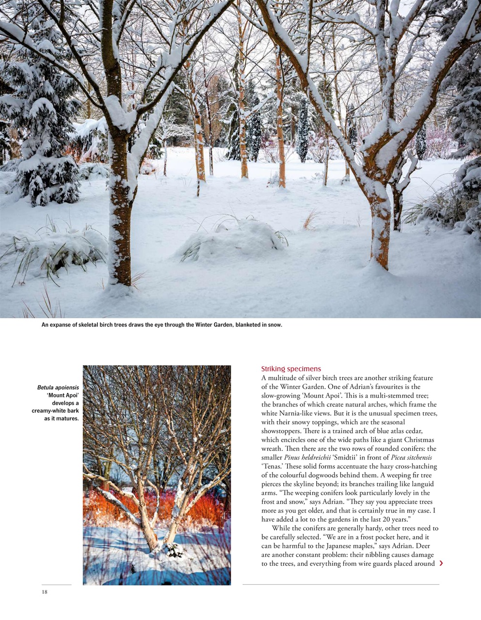 LandScape Preview Pages